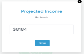 Edit the projected income screenshot 