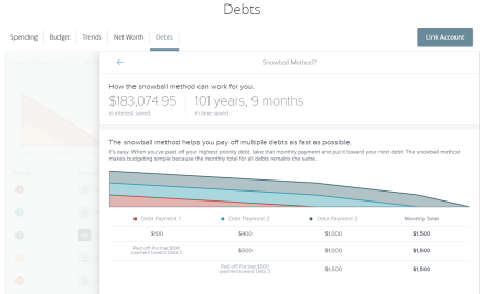 Debts detail