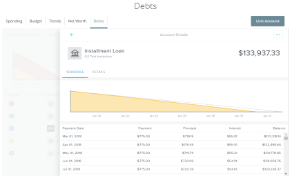 Debts detail