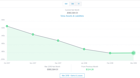 Using the Net Worth widget